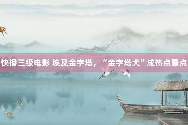 快播三级电影 埃及金字塔，“金字塔犬”成热点景点