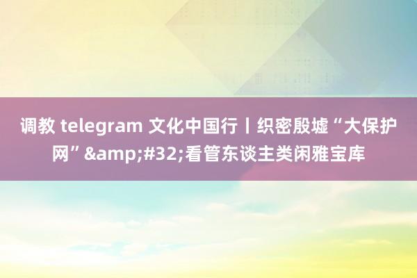 调教 telegram 文化中国行丨织密殷墟“大保护网”&#32;看管东谈主类闲雅宝库