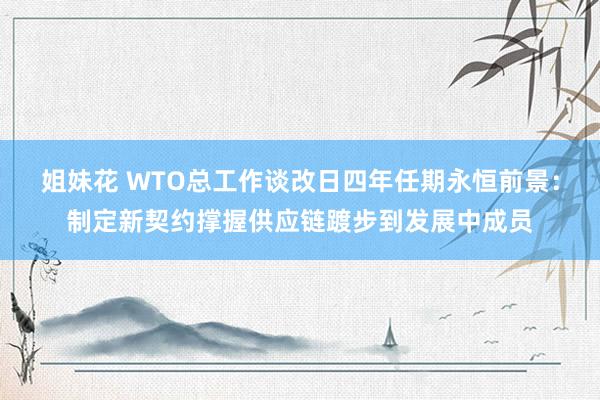 姐妹花 WTO总工作谈改日四年任期永恒前景：制定新契约撑握供应链踱步到发展中成员