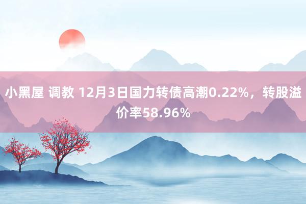 小黑屋 调教 12月3日国力转债高潮0.22%，转股溢价率58.96%