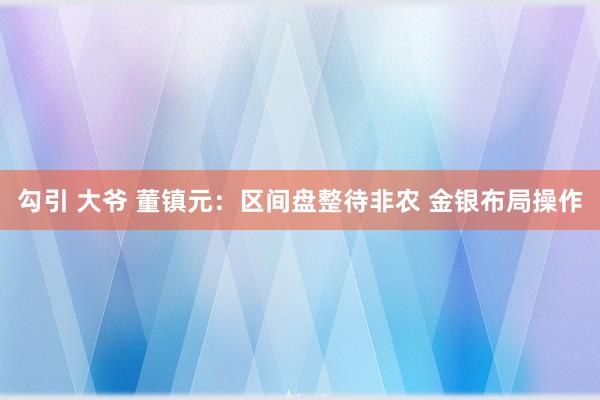 勾引 大爷 董镇元：区间盘整待非农 金银布局操作