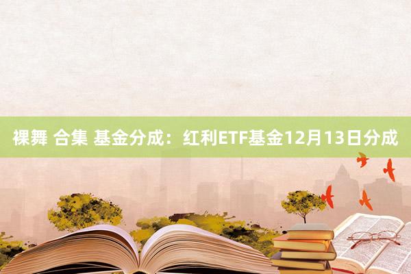 裸舞 合集 基金分成：红利ETF基金12月13日分成