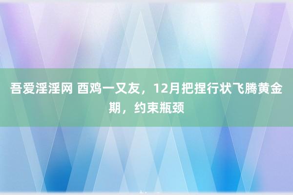 吾爱淫淫网 酉鸡一又友，12月把捏行状飞腾黄金期，约束瓶颈