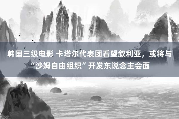 韩国三级电影 卡塔尔代表团看望叙利亚，或将与“沙姆自由组织”开发东说念主会面