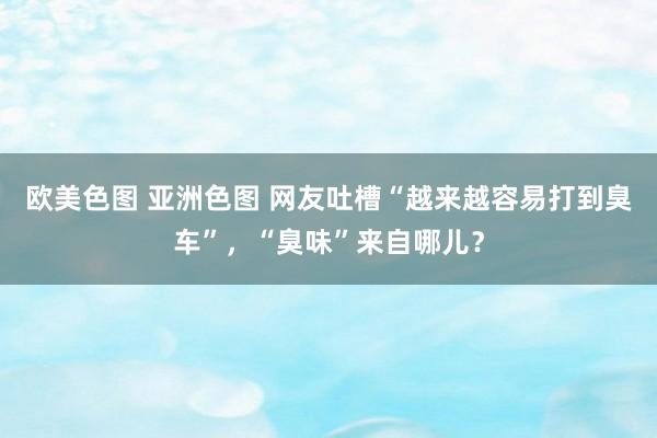 欧美色图 亚洲色图 网友吐槽“越来越容易打到臭车”，“臭味”来自哪儿？