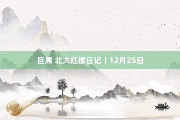 巨屌 北大红楼日记丨12月25日