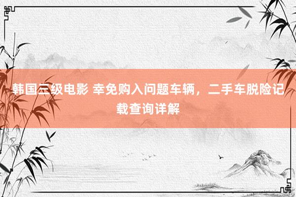 韩国三级电影 幸免购入问题车辆，二手车脱险记载查询详解