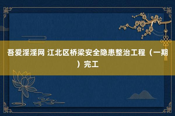 吾爱淫淫网 江北区桥梁安全隐患整治工程（一期）完工