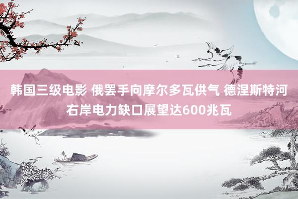 韩国三级电影 俄罢手向摩尔多瓦供气 德涅斯特河右岸电力缺口展望达600兆瓦