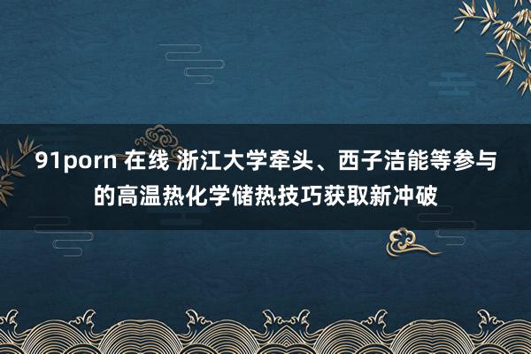 91porn 在线 浙江大学牵头、西子洁能等参与的高温热化学储热技巧获取新冲破