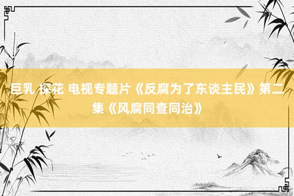 巨乳 探花 电视专题片《反腐为了东谈主民》第二集《风腐同查同治》