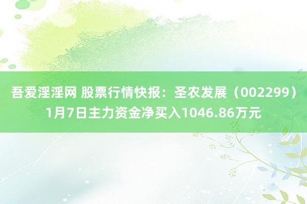 吾爱淫淫网 股票行情快报：圣农发展（002299）1月7日主力资金净买入1046.86万元