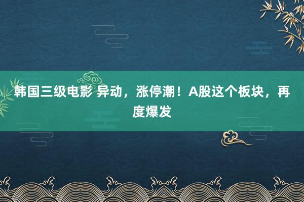 韩国三级电影 异动，涨停潮！A股这个板块，再度爆发
