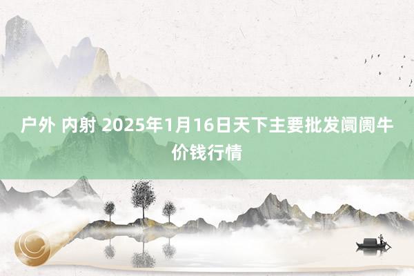 户外 内射 2025年1月16日天下主要批发阛阓牛价钱行情