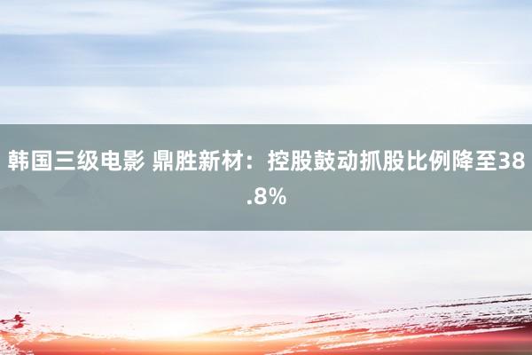 韩国三级电影 鼎胜新材：控股鼓动抓股比例降至38.8%