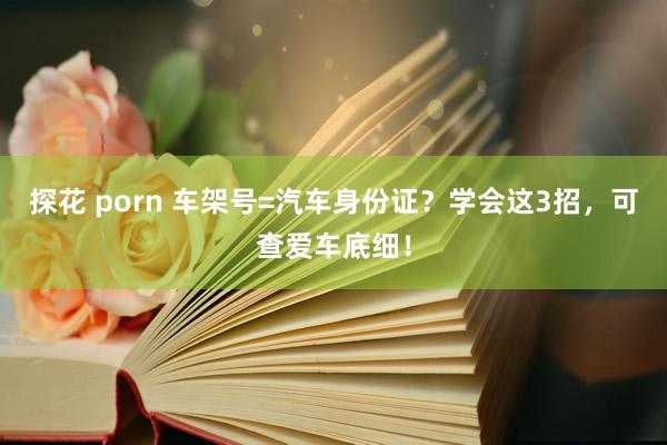 探花 porn 车架号=汽车身份证？学会这3招，可查爱车底细！