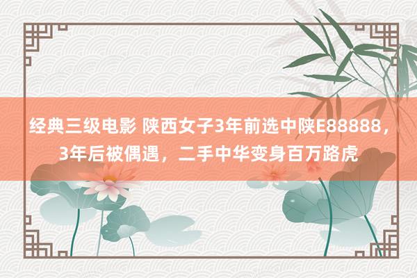 经典三级电影 陕西女子3年前选中陕E88888，3年后被偶遇，二手中华变身百万路虎