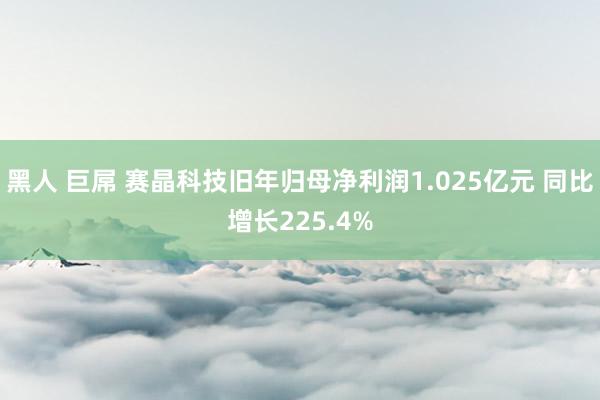 黑人 巨屌 赛晶科技旧年归母净利润1.025亿元 同比增长225.4%