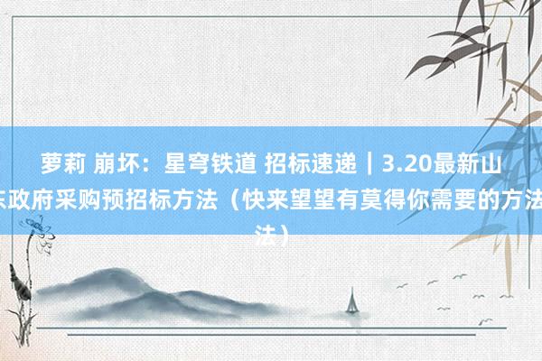 萝莉 崩坏：星穹铁道 招标速递｜3.20最新山东政府采购预招标方法（快来望望有莫得你需要的方法）