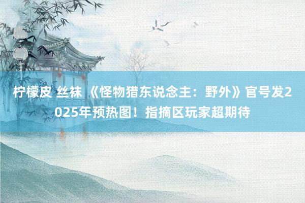 柠檬皮 丝袜 《怪物猎东说念主：野外》官号发2025年预热图！指摘区玩家超期待