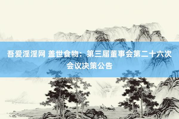 吾爱淫淫网 盖世食物：第三届董事会第二十六次会议决策公告