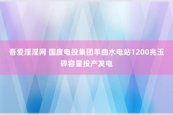吾爱淫淫网 国度电投集团羊曲水电站1200兆玉碎容量投产发电