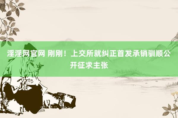 淫淫网官网 刚刚！上交所就纠正首发承销驯顺公开征求主张