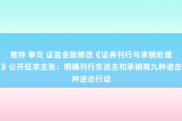 推特 拳交 证监会就修改《证券刊行与承销处理目的》公开征求主张：明确刊行东谈主和承销商九种进击行动