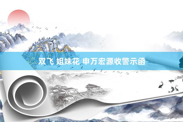 双飞 姐妹花 申万宏源收警示函