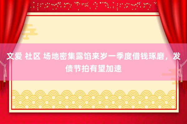 文爱 社区 场地密集露馅来岁一季度借钱琢磨，发债节拍有望加速