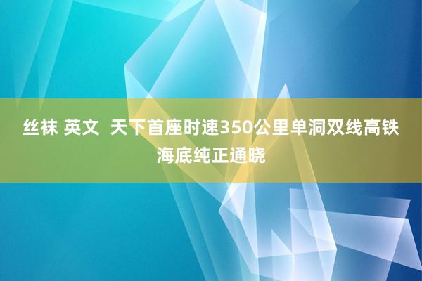 丝袜 英文  天下首座时速350公里单洞双线高铁海底纯正通晓