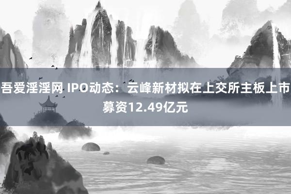 吾爱淫淫网 IPO动态：云峰新材拟在上交所主板上市募资12.49亿元