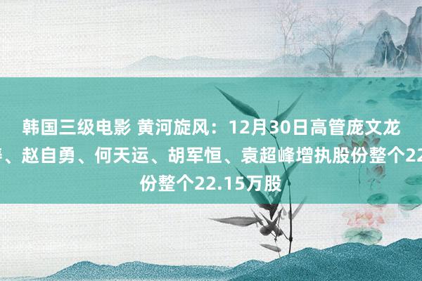 韩国三级电影 黄河旋风：12月30日高管庞文龙、李明涛、赵自勇、何天运、胡军恒、袁超峰增执股份整个22.15万股