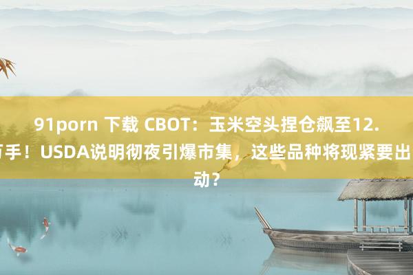 91porn 下载 CBOT：玉米空头捏仓飙至12.4万手！USDA说明彻夜引爆市集，这些品种将现紧要出动？