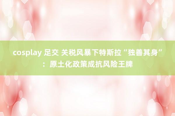 cosplay 足交 关税风暴下特斯拉“独善其身”：原土化政策成抗风险王牌
