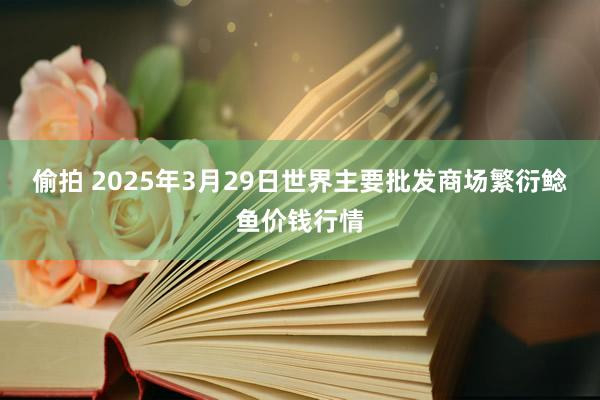 偷拍 2025年3月29日世界主要批发商场繁衍鲶鱼价钱行情