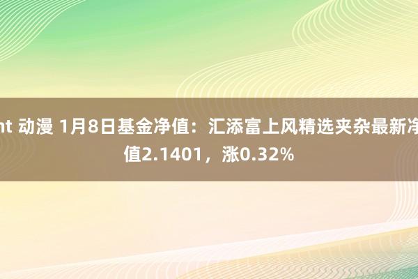 nt 动漫 1月8日基金净值：汇添富上风精选夹杂最新净值2.1401，涨0.32%
