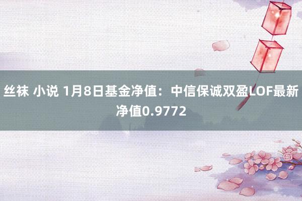 丝袜 小说 1月8日基金净值：中信保诚双盈LOF最新净值0.9772