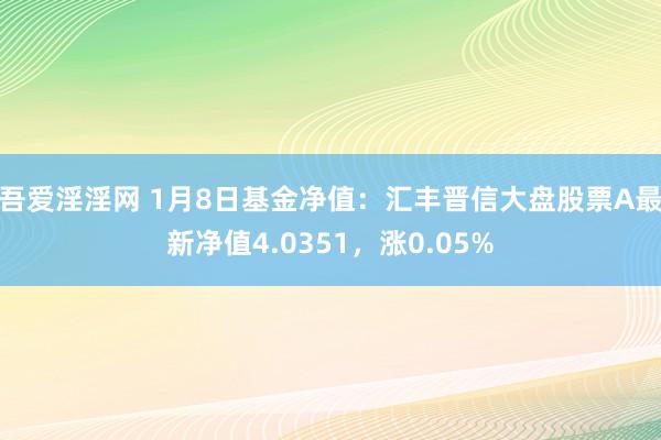 吾爱淫淫网 1月8日基金净值：汇丰晋信大盘股票A最新净值4.0351，涨0.05%