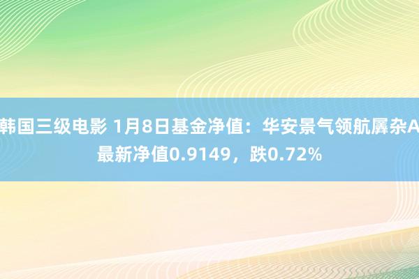 韩国三级电影 1月8日基金净值：华安景气领航羼杂A最新净值0.9149，跌0.72%