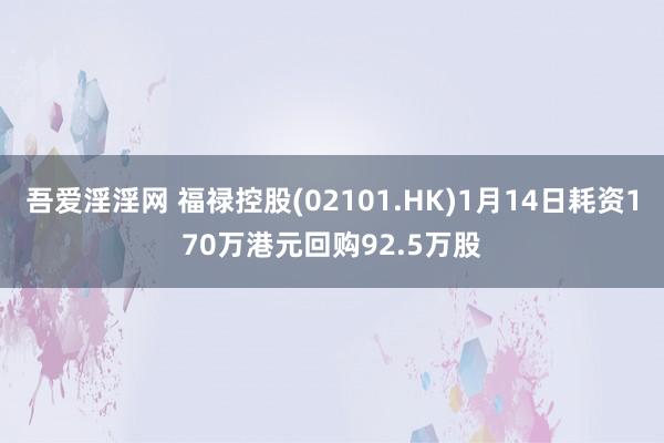 吾爱淫淫网 福禄控股(02101.HK)1月14日耗资170万港元回购92.5万股