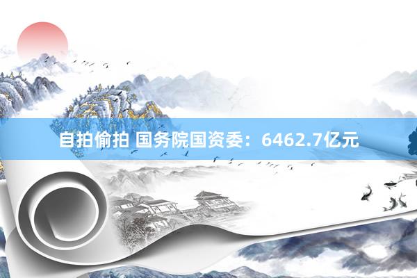 自拍偷拍 国务院国资委：6462.7亿元