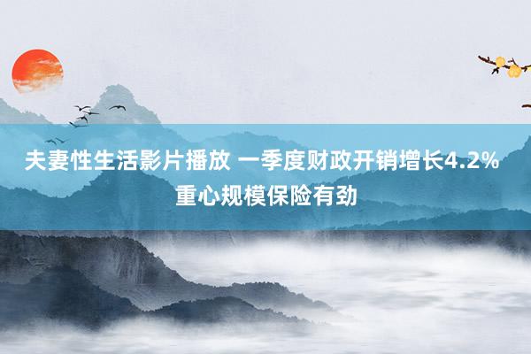 夫妻性生活影片播放 一季度财政开销增长4.2% 重心规模保险有劲