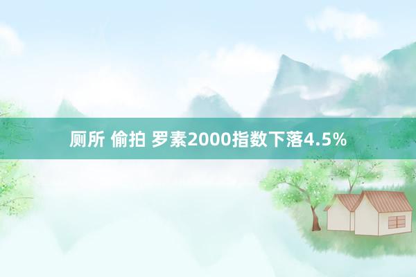 厕所 偷拍 罗素2000指数下落4.5%
