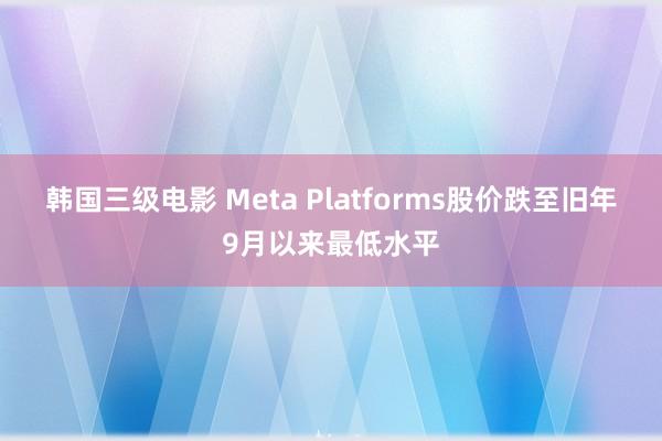 韩国三级电影 Meta Platforms股价跌至旧年9月以来最低水平