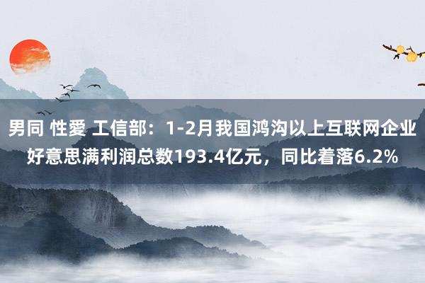 男同 性愛 工信部：1-2月我国鸿沟以上互联网企业好意思满利润总数193.4亿元，同比着落6.2%