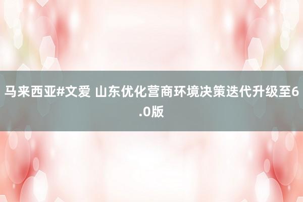 马来西亚#文爱 山东优化营商环境决策迭代升级至6.0版