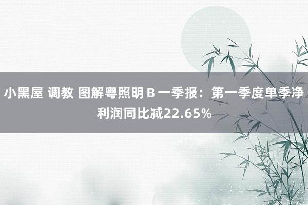 小黑屋 调教 图解粤照明Ｂ一季报：第一季度单季净利润同比减22.65%