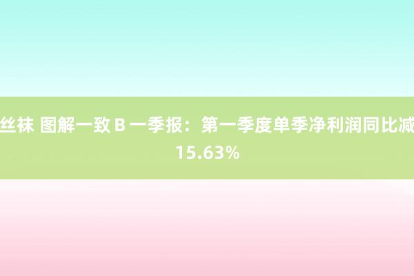 丝袜 图解一致Ｂ一季报：第一季度单季净利润同比减15.63%
