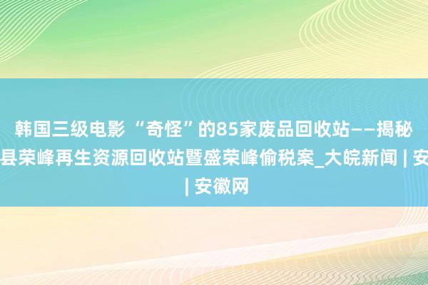 韩国三级电影 “奇怪”的85家废品回收站——揭秘东至县荣峰再生资源回收站暨盛荣峰偷税案_大皖新闻 | 安徽网